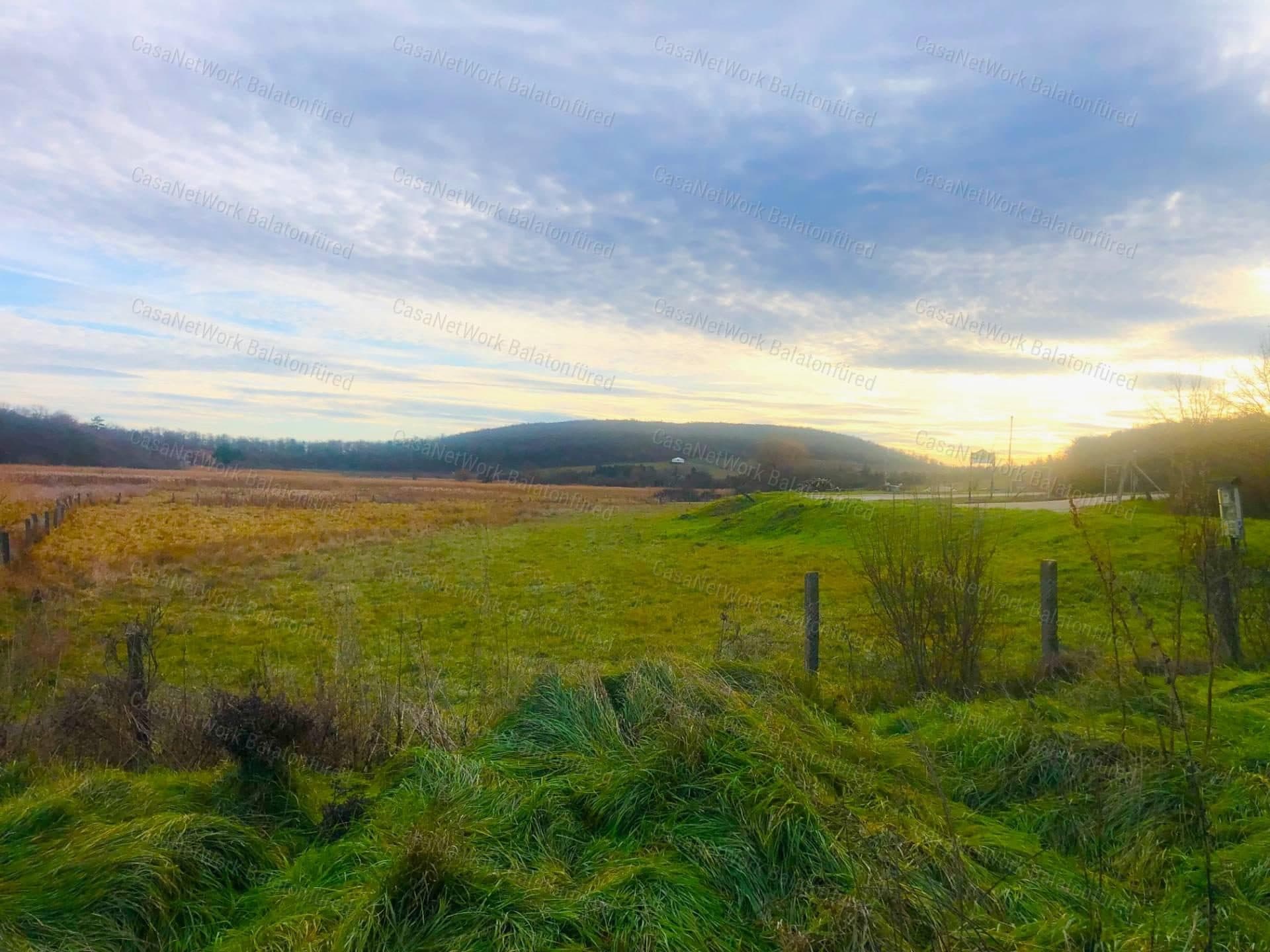 Landwirtschaftsfläche mit Weinbau- und Verarbeitungsbetrieb in Balatonszőlős